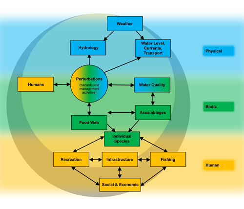 Eco Model