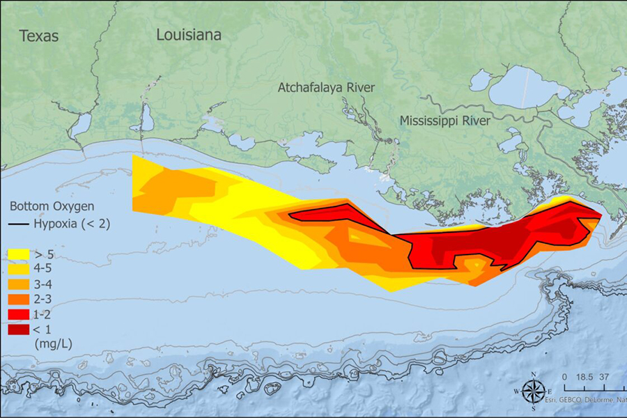 July 22 – 28, 2023 Shelf-wide Hypoxia Monitoring Cruise. Image from the Gulf of Mexico Hypoxia2 website. 