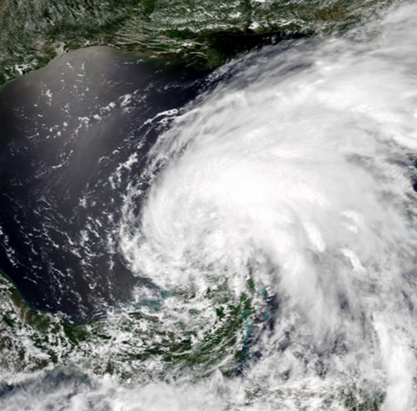 Tropical Storm Cristobal makes landfall on US Gulf Coast