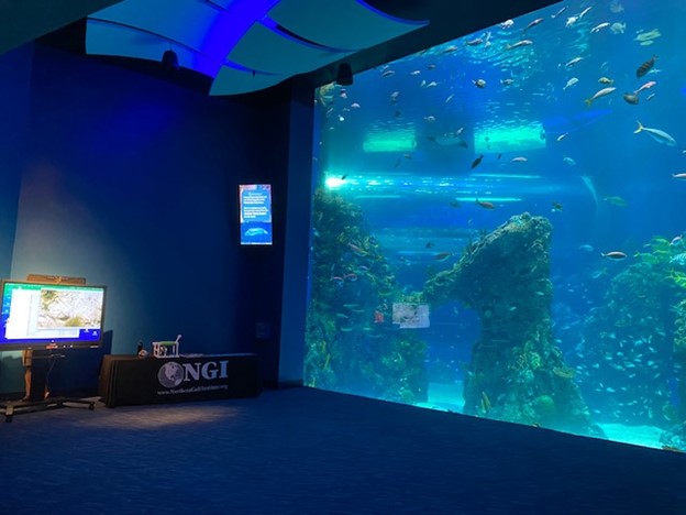 Gulf of Mexico fish tank exhibit